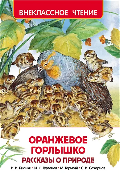 Оранжевое горлышко