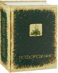 Подорожник : встречи в пути, или Нечаянная история литературы в автографах попутчиков