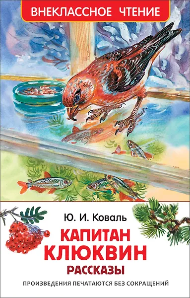 Капитан Клюквин